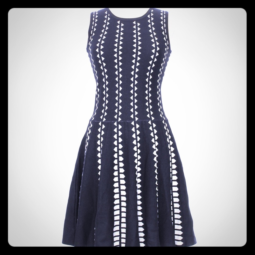 Anthropologie/ John & Jenn Fit and Flare Dress